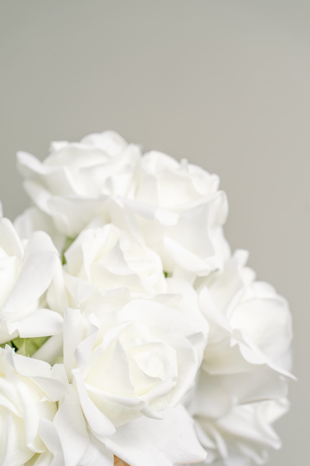 Sophisticated Elegance - Bridal Bouquet
